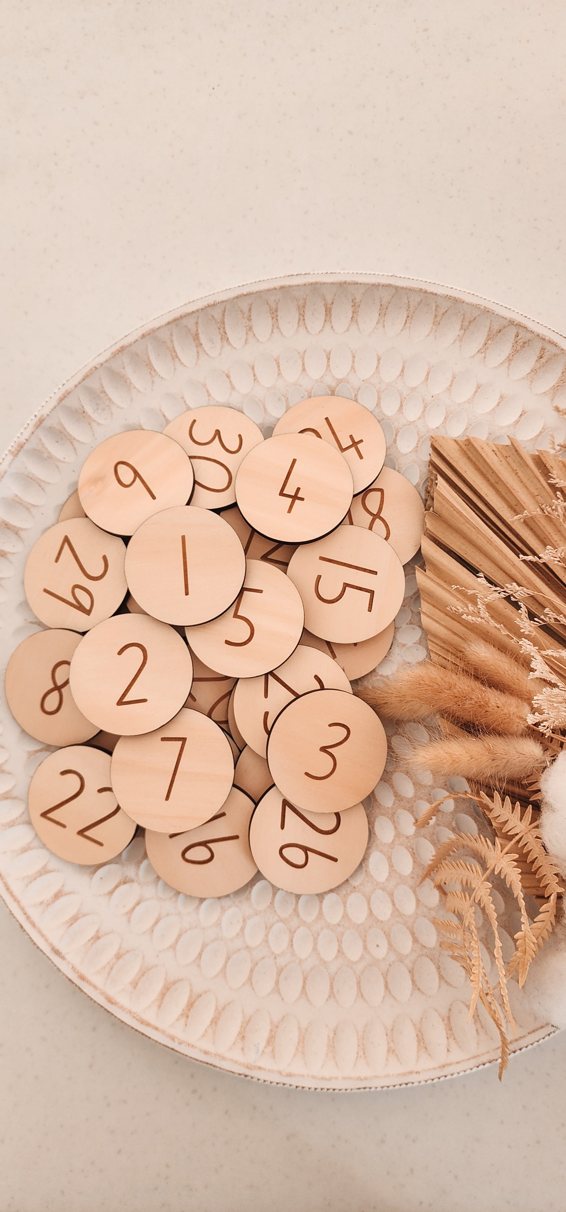 0-30 Number Disc Set